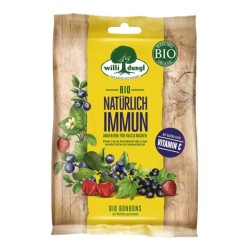 Cukríky bez cukru lesné ovocie 65g Cukríky bez cukru lesné ovocie 65g